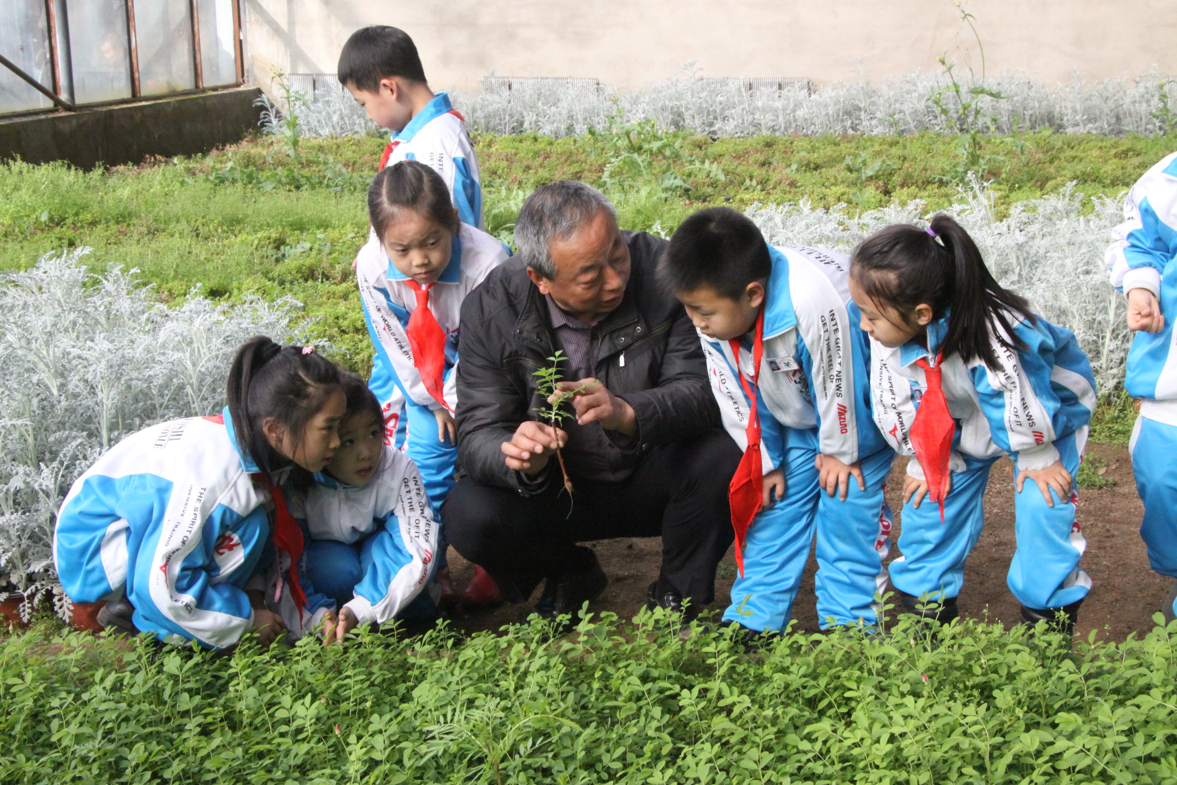 他们急了，看到淳朴的丁真受到女生追捧，丁真受到不友好的对待