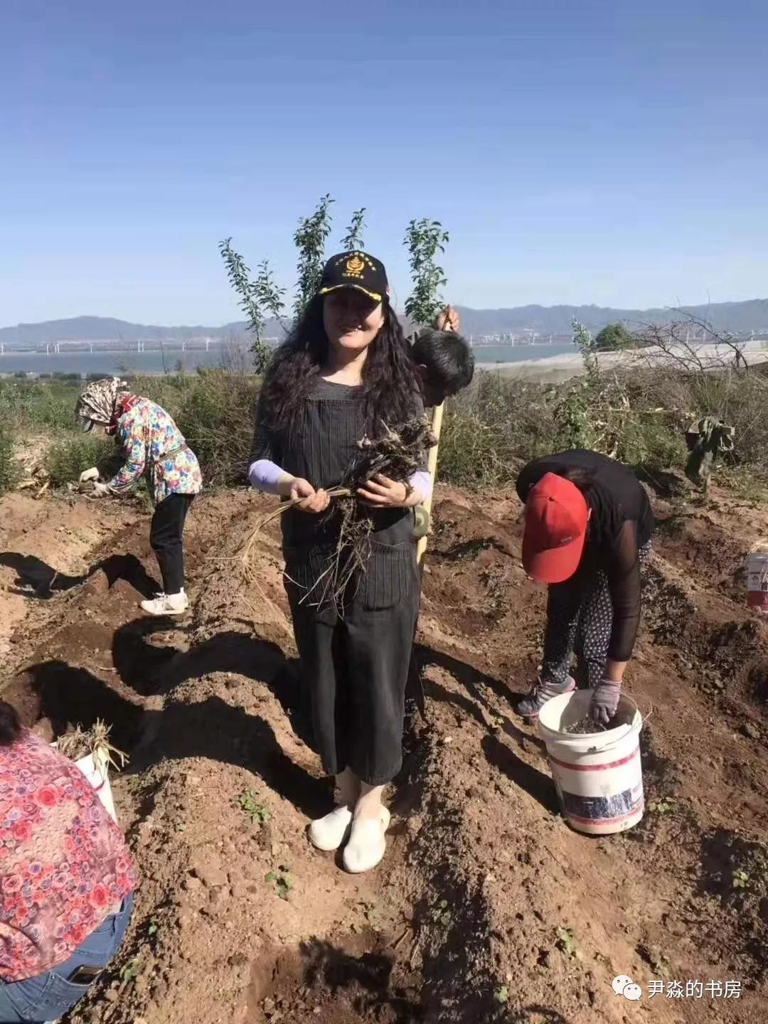 种苹果籽的人,种李子的人