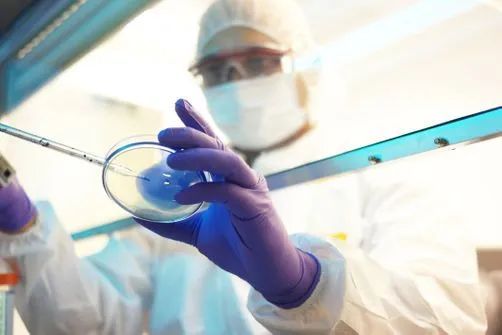 法国发现最新传染疫情,巴黎发现神秘病毒