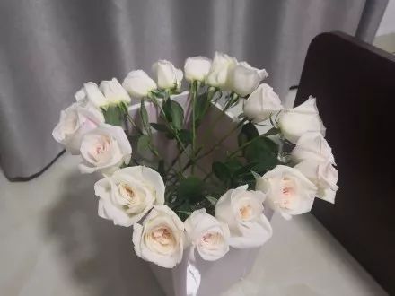 收到花有点蔫怎么处理,收到花有点干瘪醒花方法