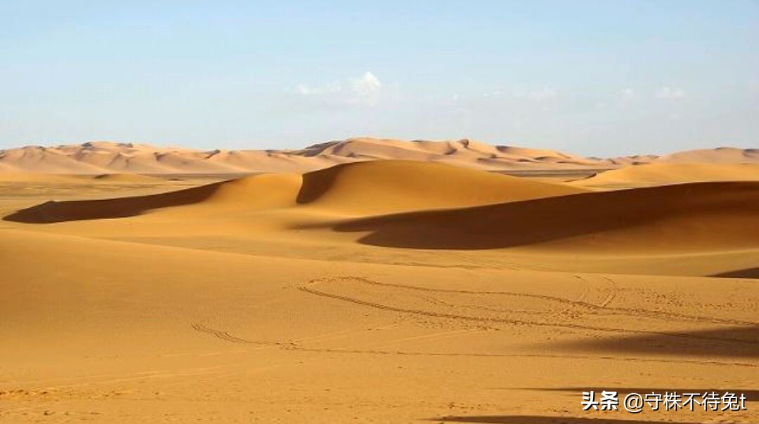 10个关于人类身体的冷知识,十个冷知识人类