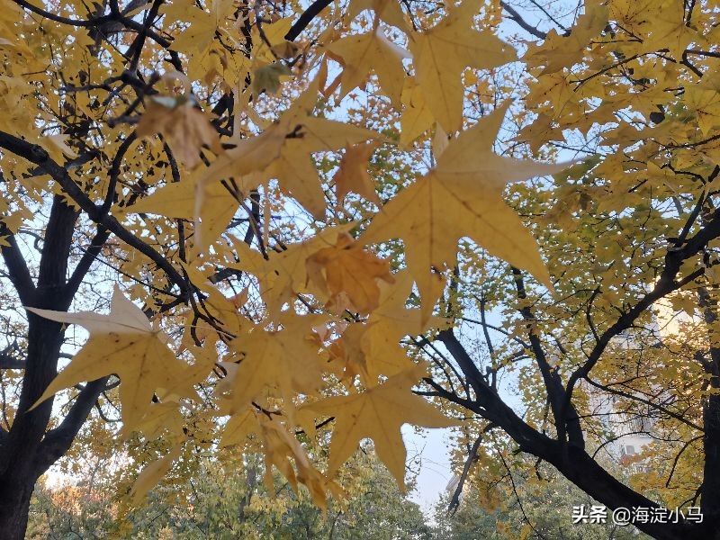 老师找家长了怎么办,老师找家长家长怎么推脱