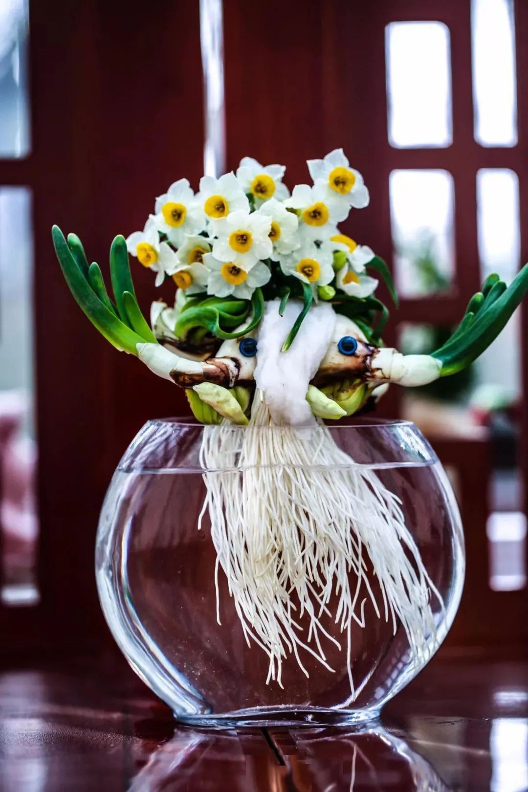 水仙对光照的要求,水仙施肥的正确方法