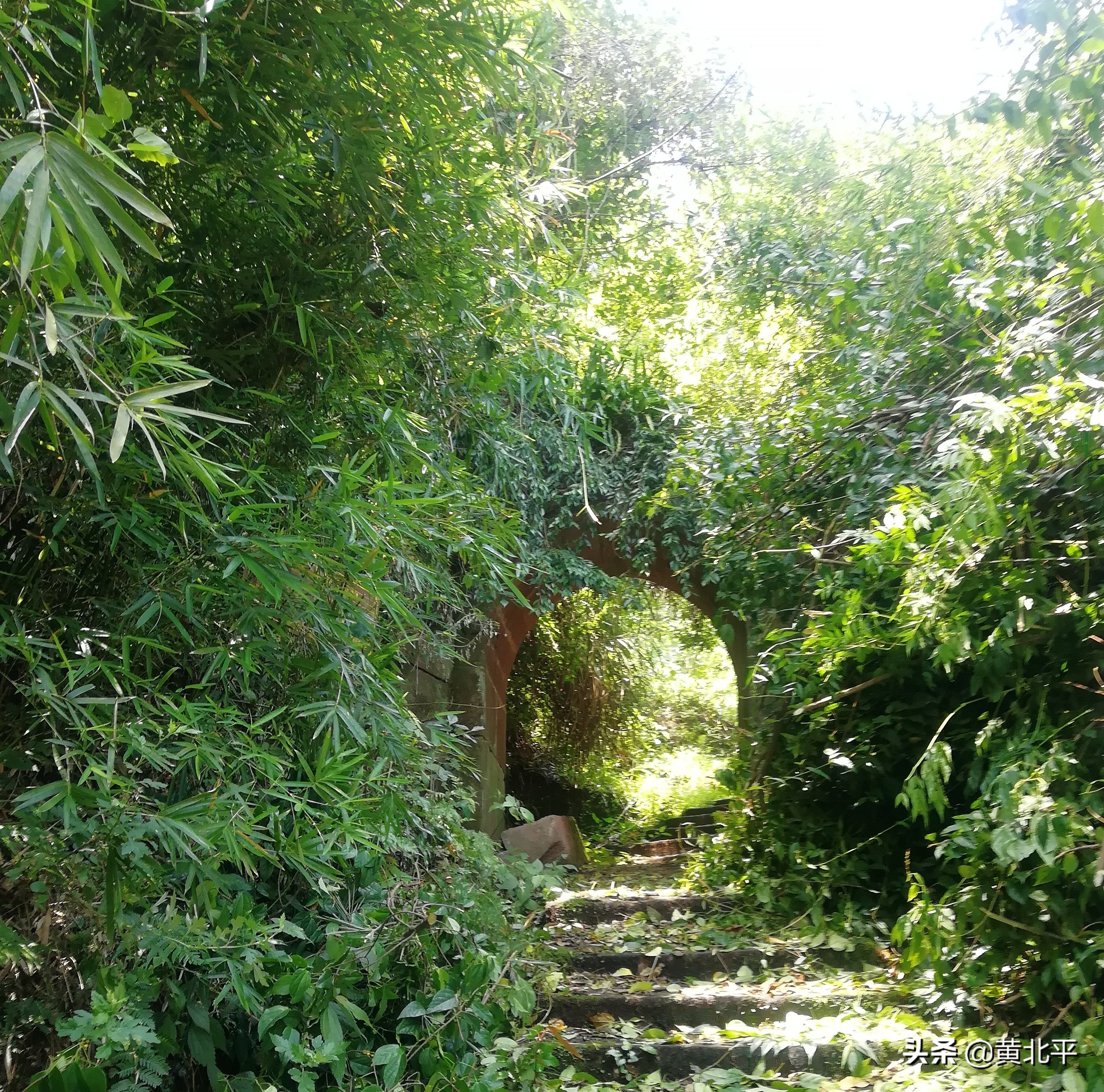 北碚深山寺庙,深山密林的神秘古刹