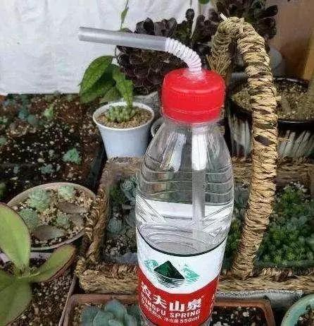 用塑料瓶做养花神器的喷壶怎么做,塑料瓶养花神器