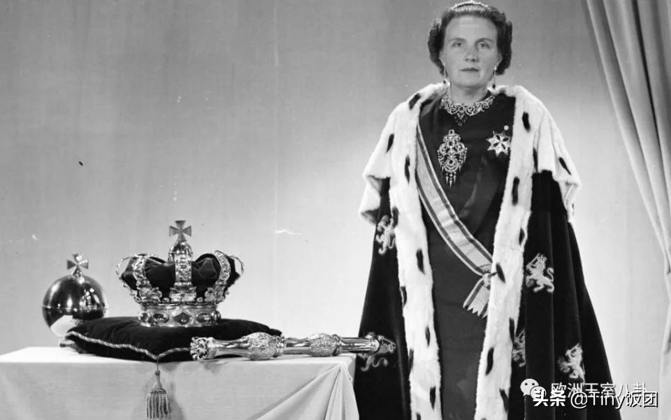 科普向-荷兰：活力有爱橙子国