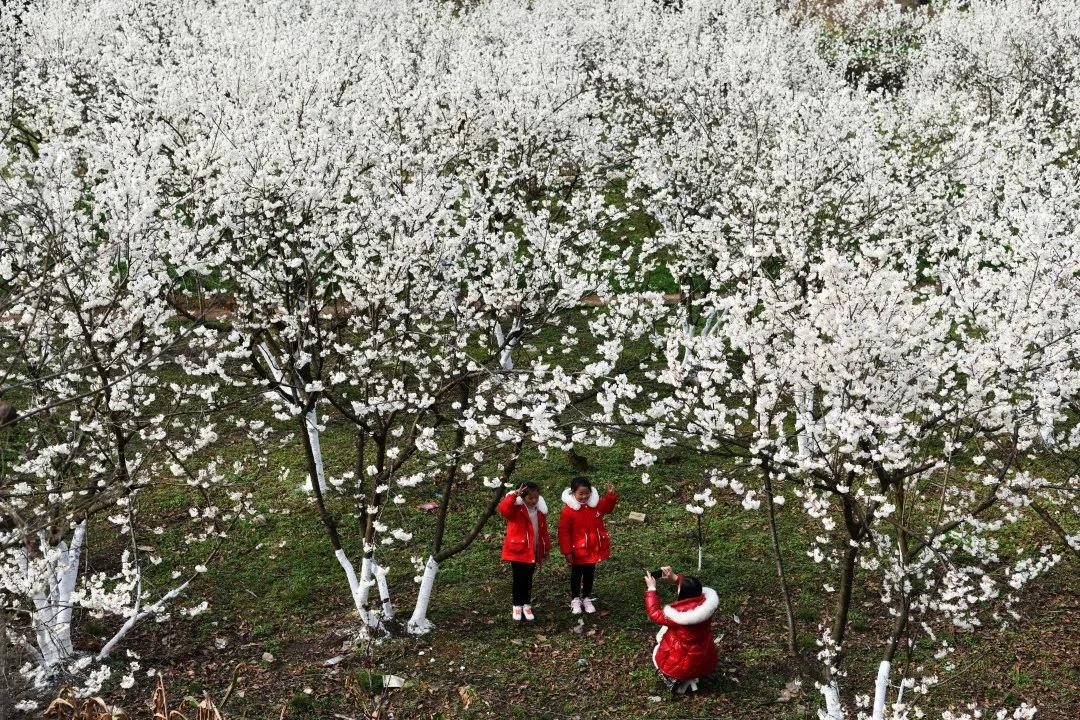 脱贫攻坚贡献彪炳史册,彪炳史册的脱贫攻坚疫情防控