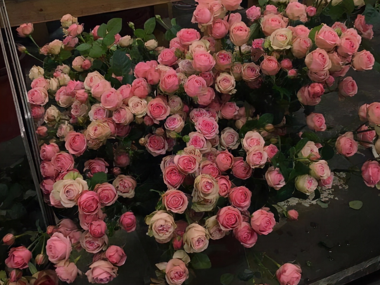 天秤座是一个最容易记仇反击的人,天秤座确实有着暴躁的一面