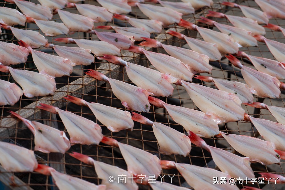好看的韩剧推荐釜山行,釜山推荐景点打卡攻略图