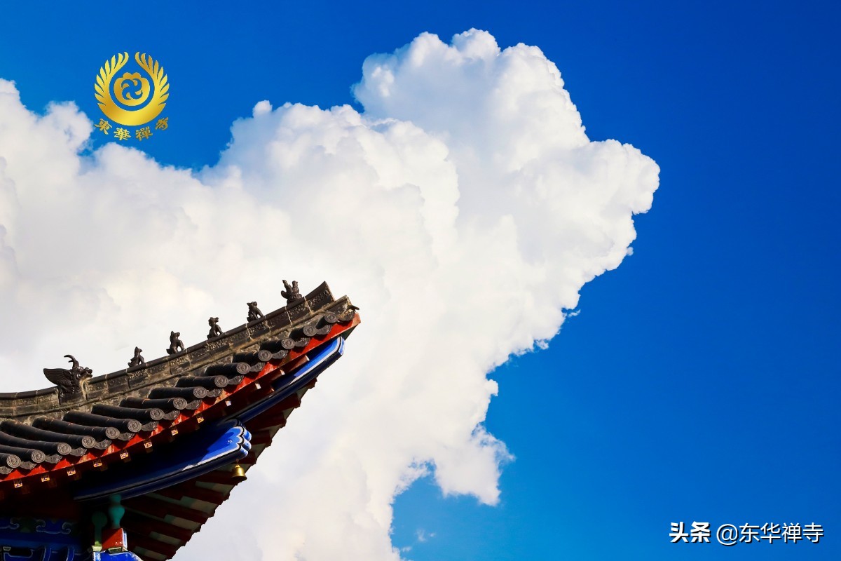 万行开示,万行法师讲福报