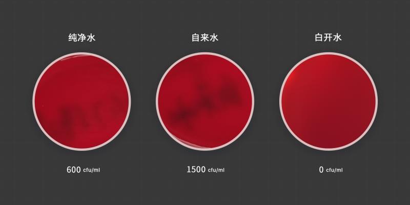 9成国人不会挑选加湿器：翻阅30万字论文，只为教你正确应对干燥