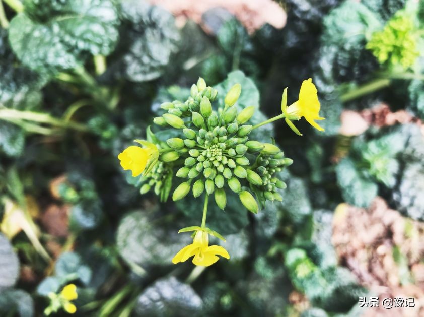 把故事讲给别人听,把故事讲给后来的人听