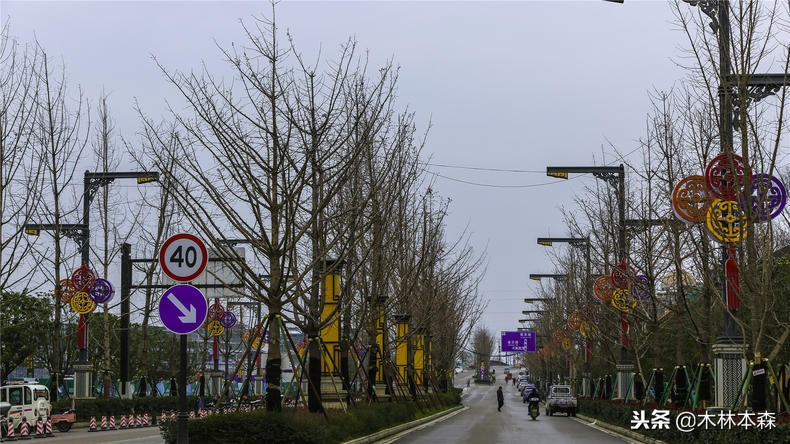 汉中汉人故乡,汉中汉人老家哪里