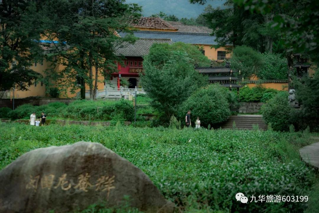 九华是哪个学校的学区房,九华学区房