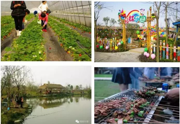 几十块钱玩一天,几十块钱玩一天天津