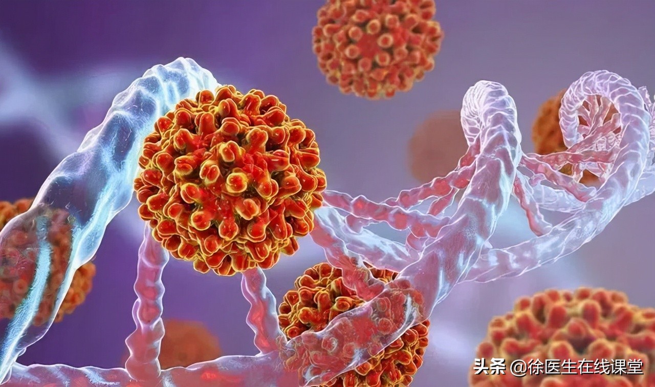 乙肝病毒携带者需要过分担心,乙肝携带者能过日子吗