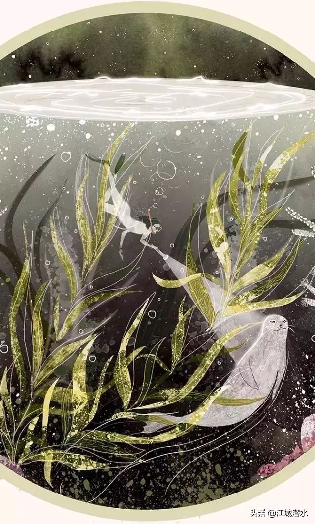 爱上潜水的理由,水肺潜水为什么不会炸肺