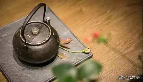 茶客入门必买茶具,泡茶茶具的选购指导