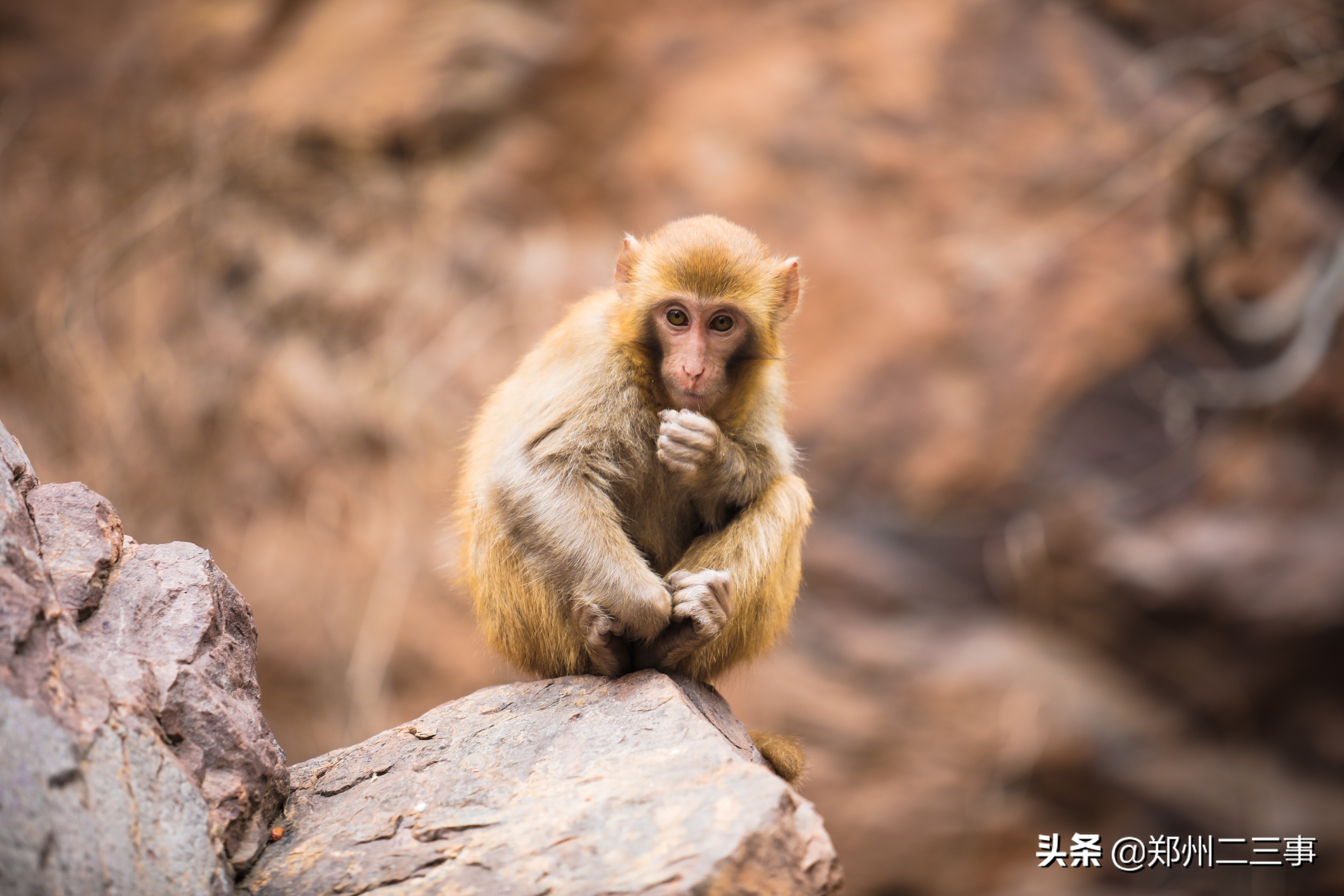 郑州惠济区免费遛娃好去处植物园,郑州遛娃踏青好去处