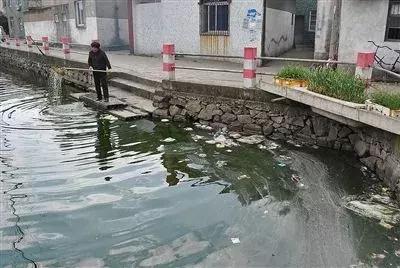 臭水塘变清水塘,臭水塘改造成景观
