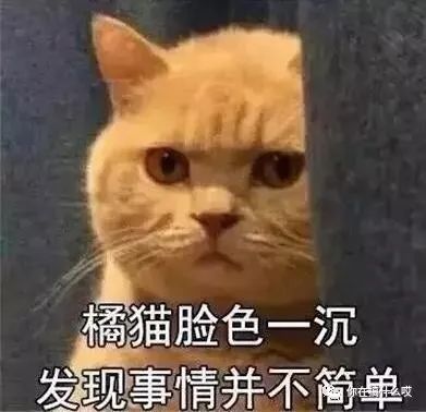 四洛克fourlock酒多少度,fourloko四洛克鸡尾酒