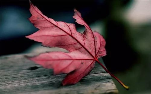 胡适友情,胡适先生的感情之谜