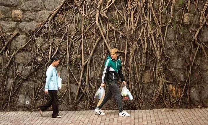 北大学子弑母案件过程,北大学生弑母案件简要经过