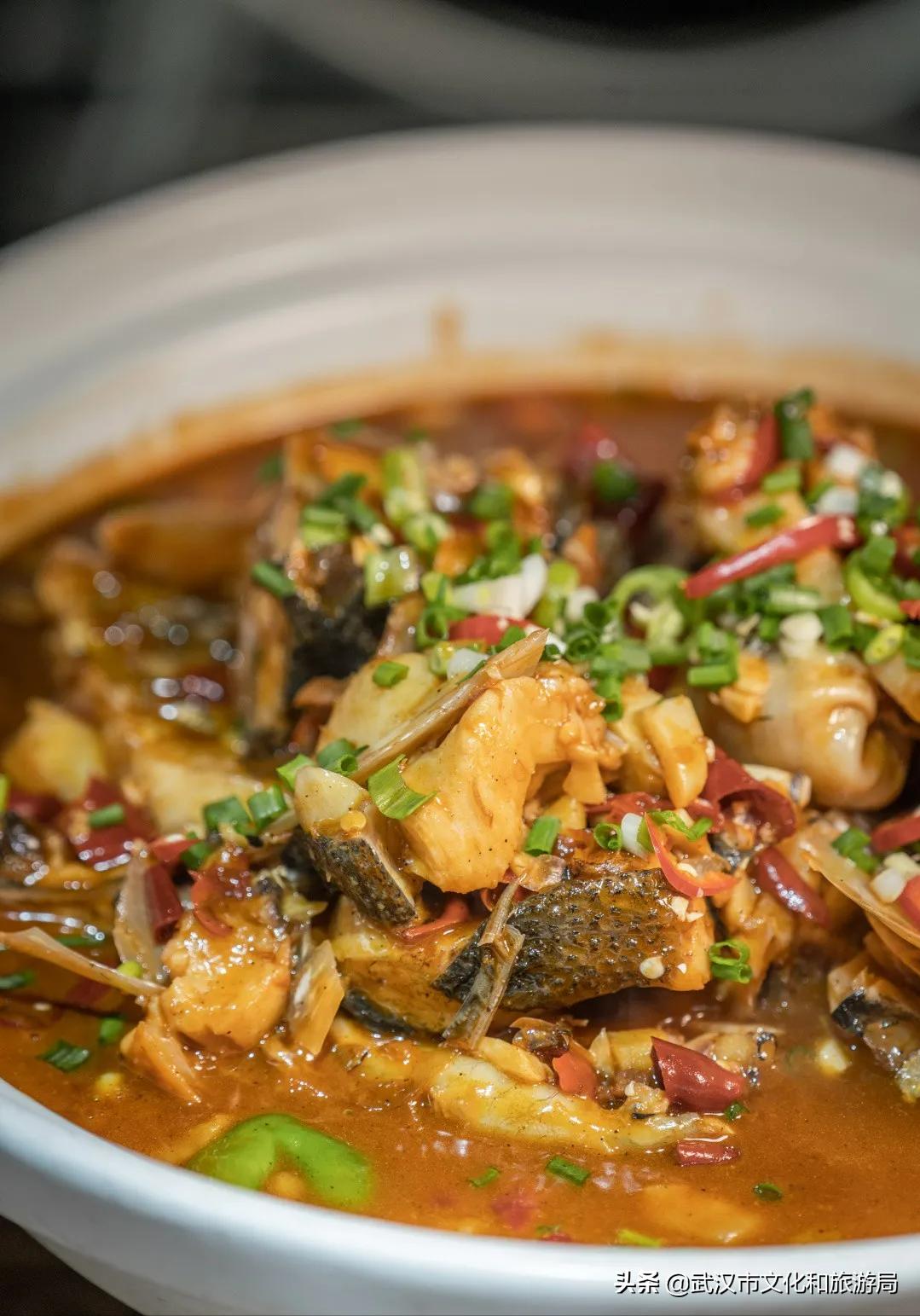 武汉樱花开完整版视频,武汉东湖樱花开的视频