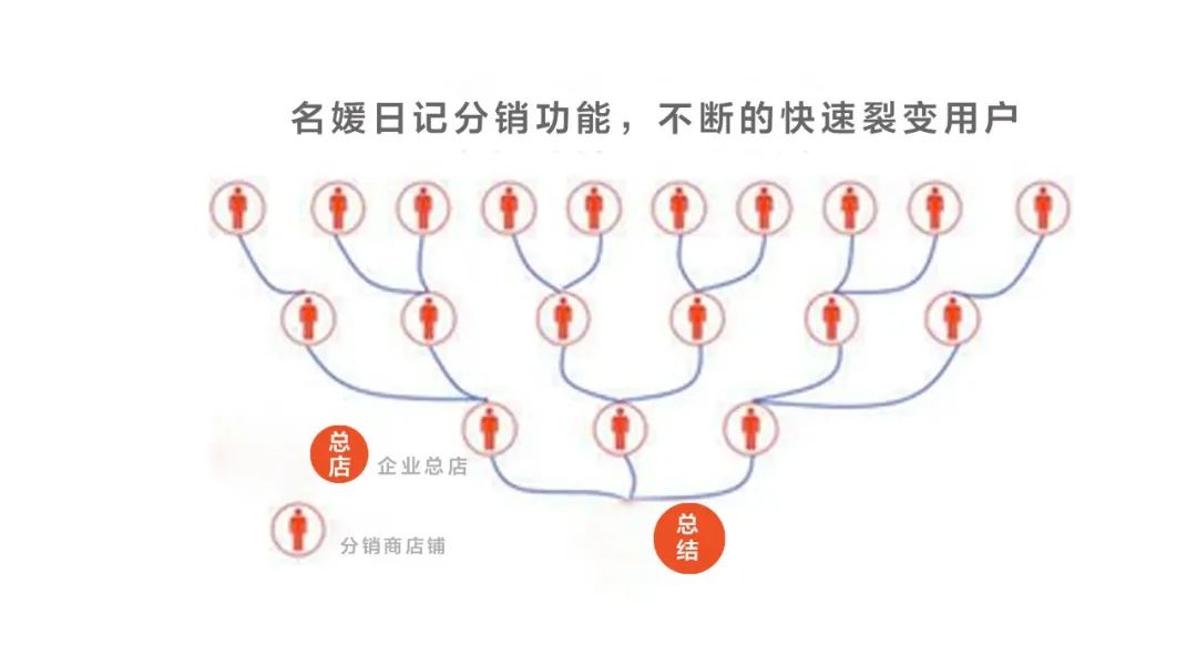 名媛日记完整版,名媛日记2020年11月