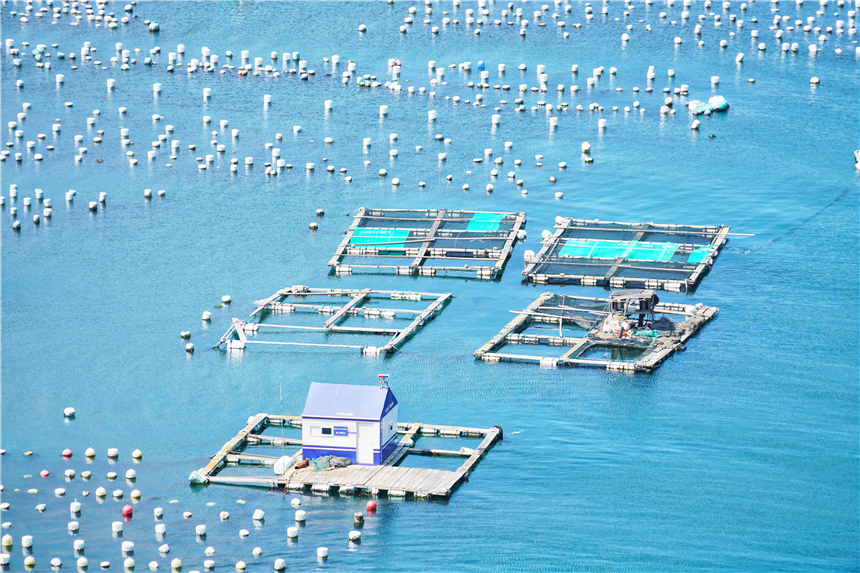 嵊泗东海渔村看日出攻略,嵊泗列岛纯海慢生活三日游