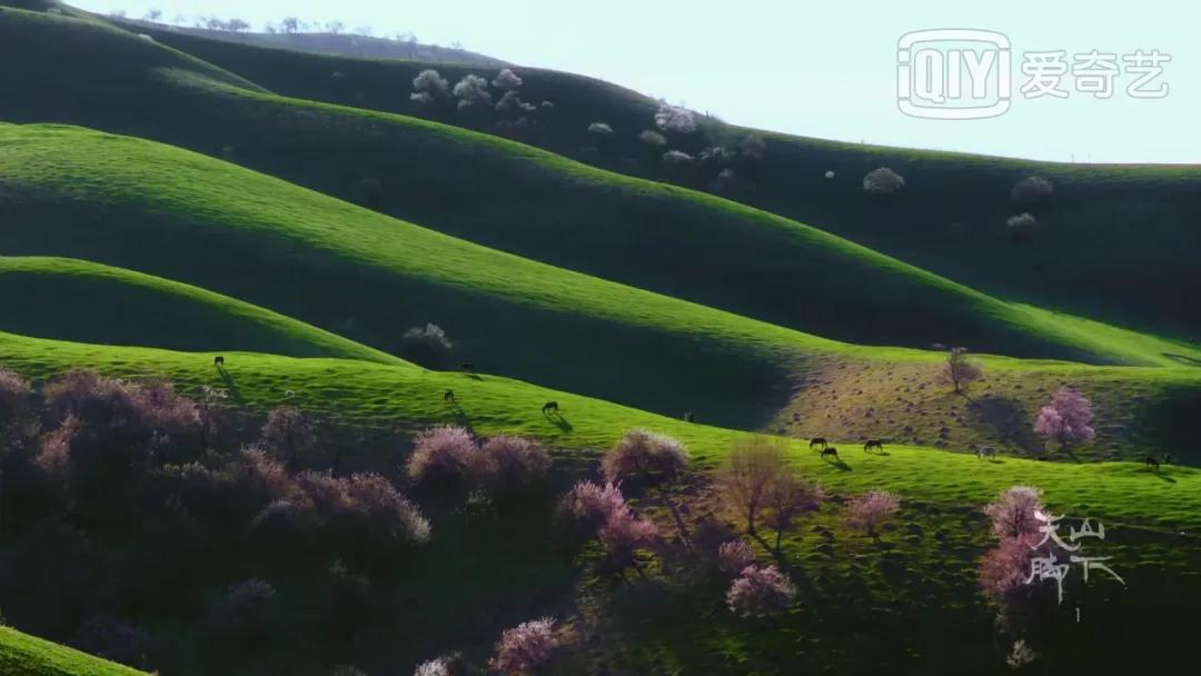 我国旅游日,中国旅游日5.19意义