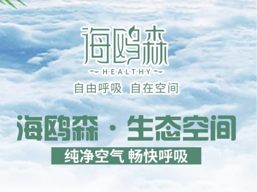 海欧森负氧离子,海鸥森