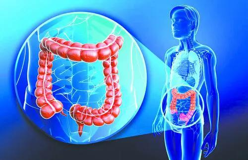 胆红素正常转氨酶高会是肝衰竭么,胆红素升高引发肝性脑病和黄疸