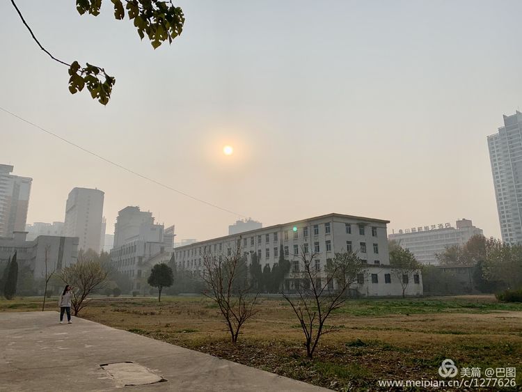 涧西牡丹广场老照片,洛阳牡丹手机拍照