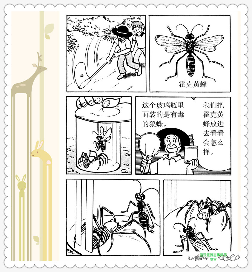 昆虫记法布尔动画片,昆虫记法布尔全套