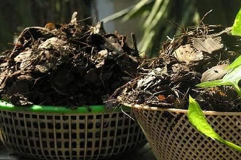 怎样制作适合花草生长的营养土,自制单纯种菜营养土最简单方法