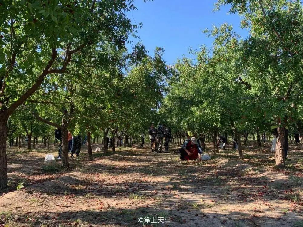 天津大学化工亚洲第一,天津大学化工专业在全国排名第几