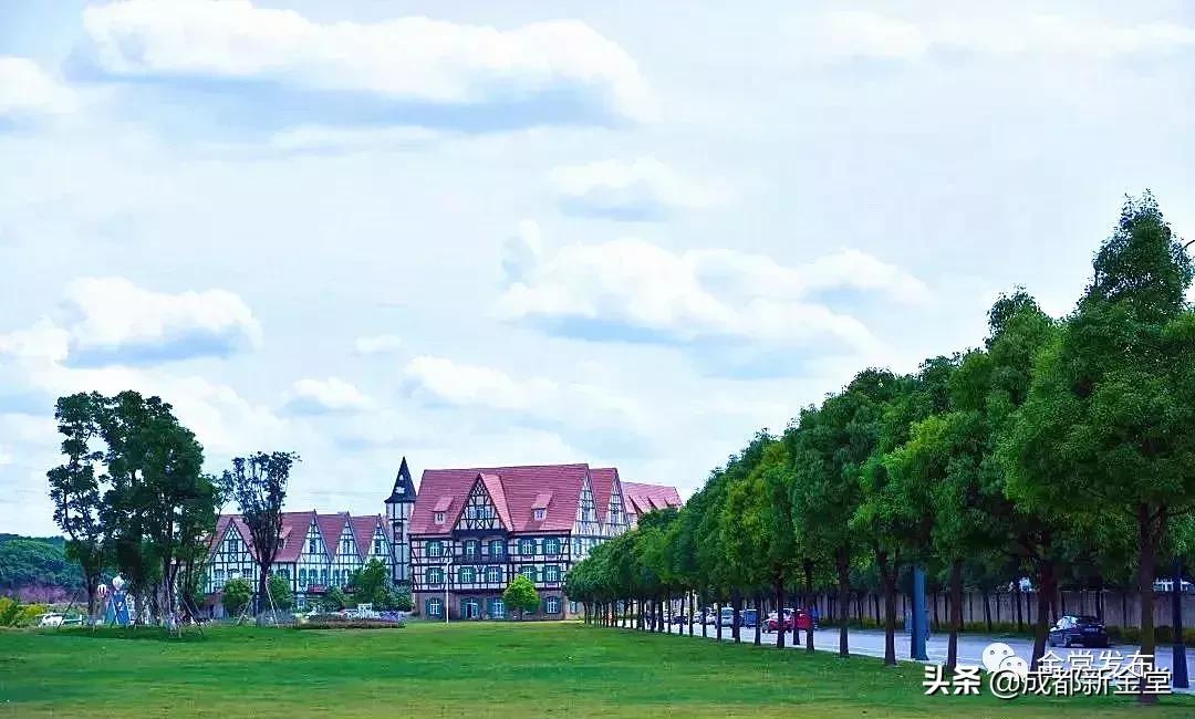 金堂人，你身边这条街已入选成都“最美街道”！