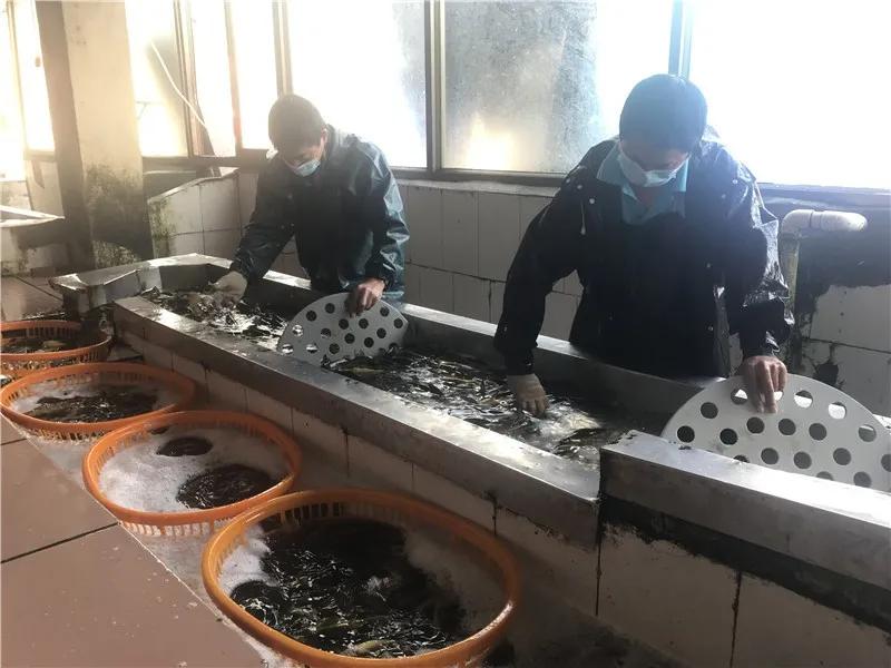 200万吨蔬菜驰援,驰援湖北漳浦18吨爱心蔬菜在路上