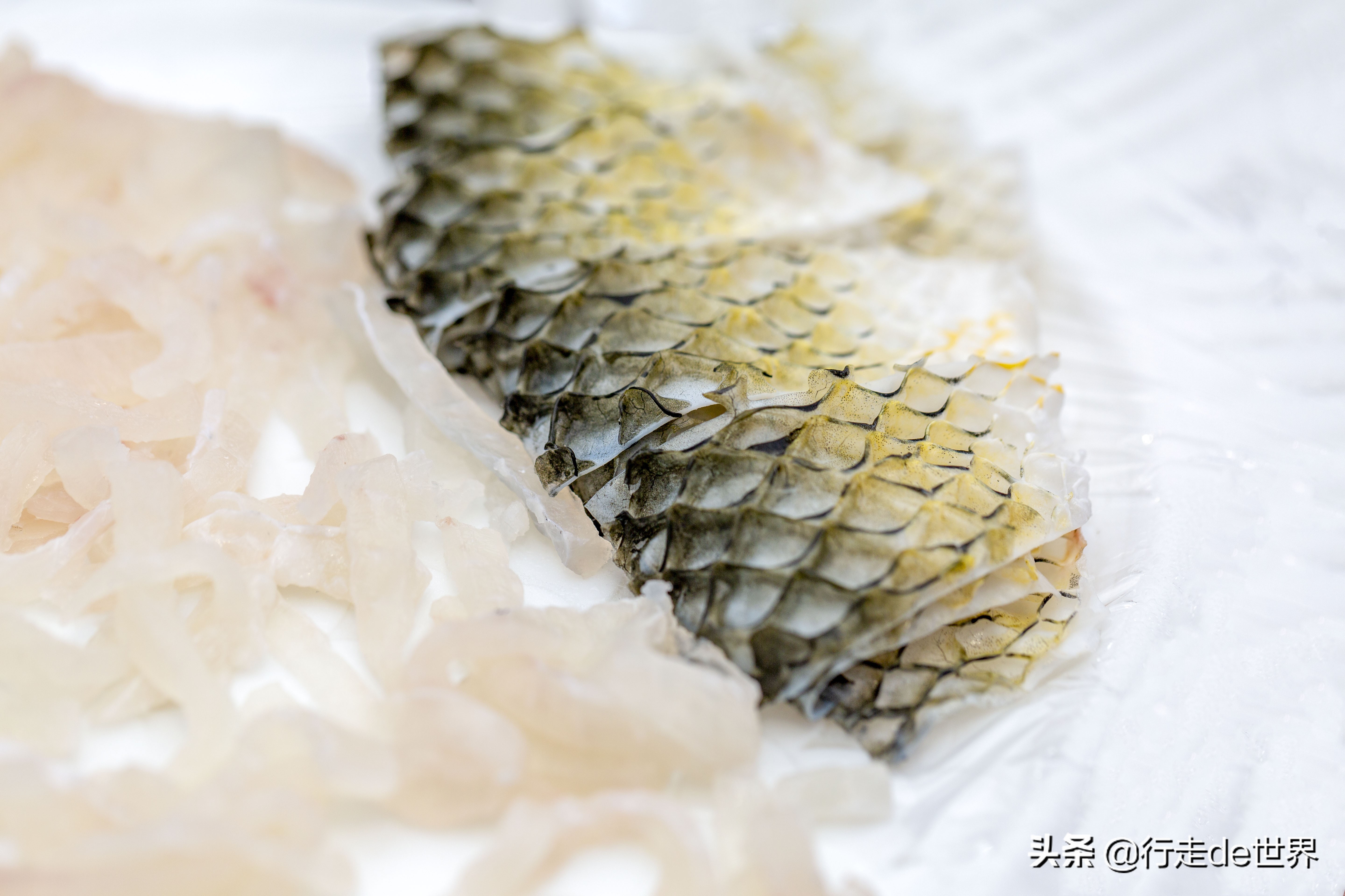 梅州五华哪里自驾游最好,广州自驾游梅州3天两夜