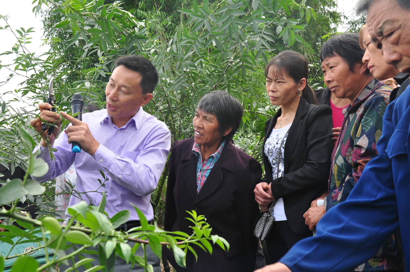 农民致富的途径,农民脱贫致富出路在哪