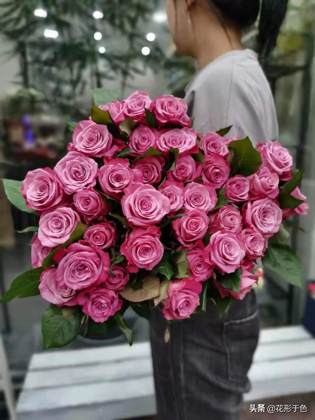 一分钟带你了解玫瑰,玫瑰花品鉴介绍