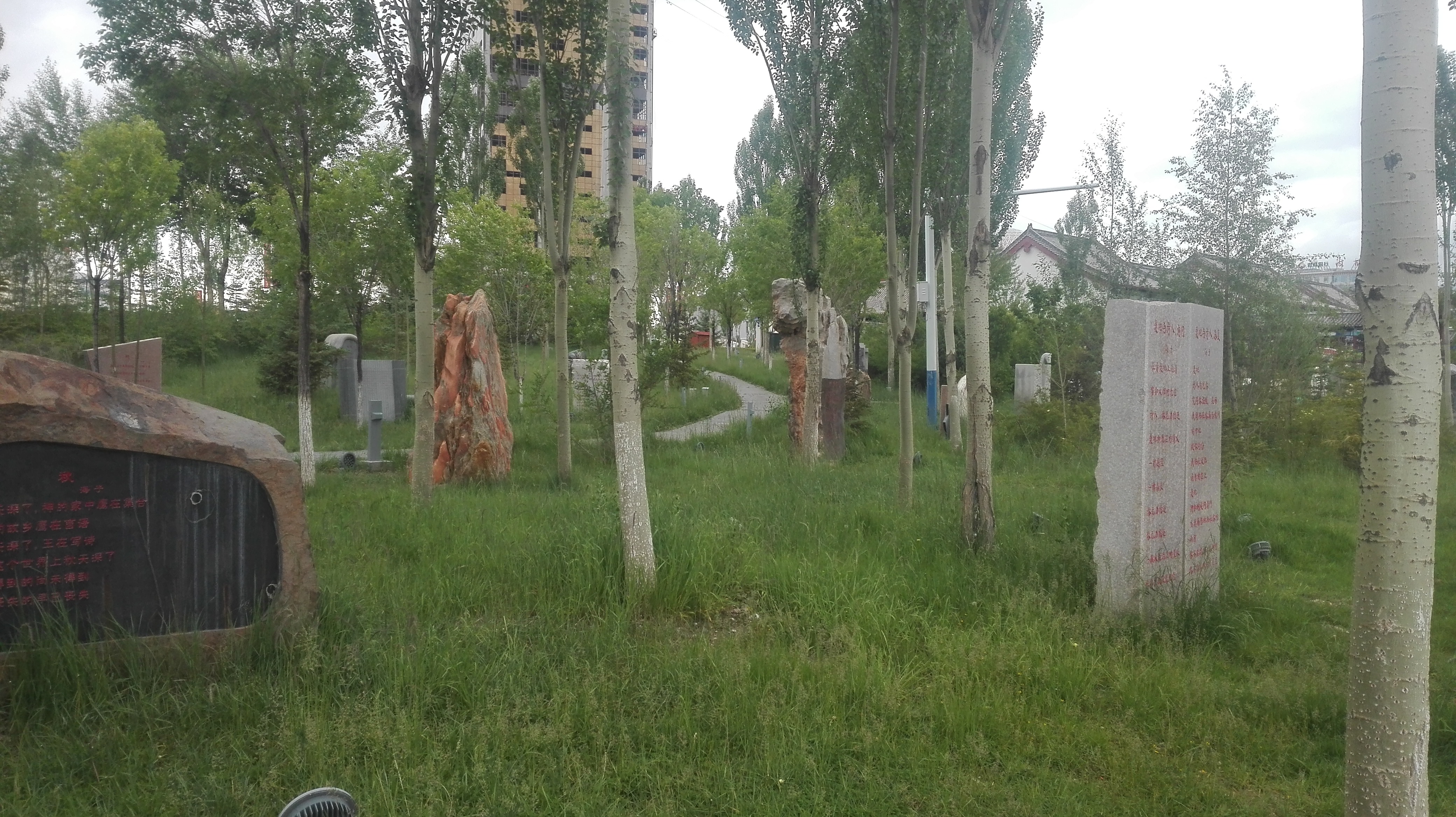 美丽的高原城市德令哈,德令哈一座安静的高原