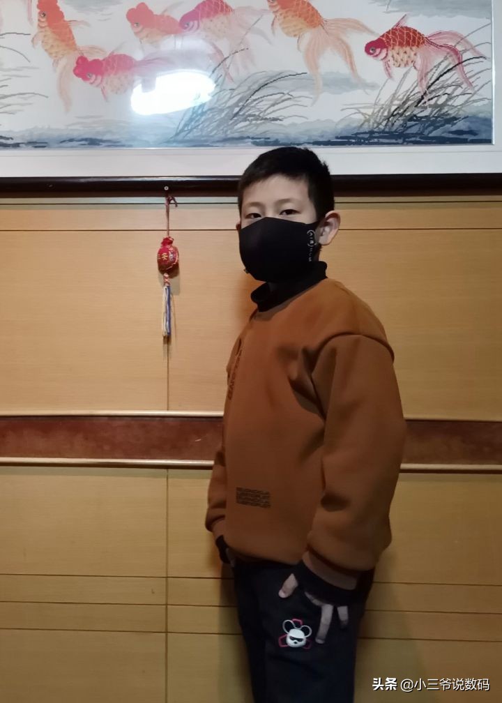 238元一盒50个口罩贵吗,瑞典睿铂口罩怎么样