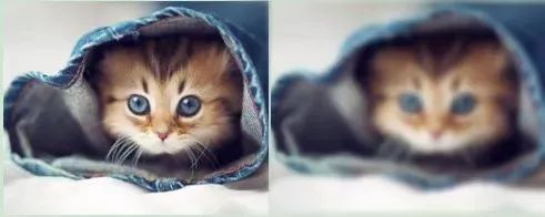 太原宝岛眼镜价格,宝岛眼镜199