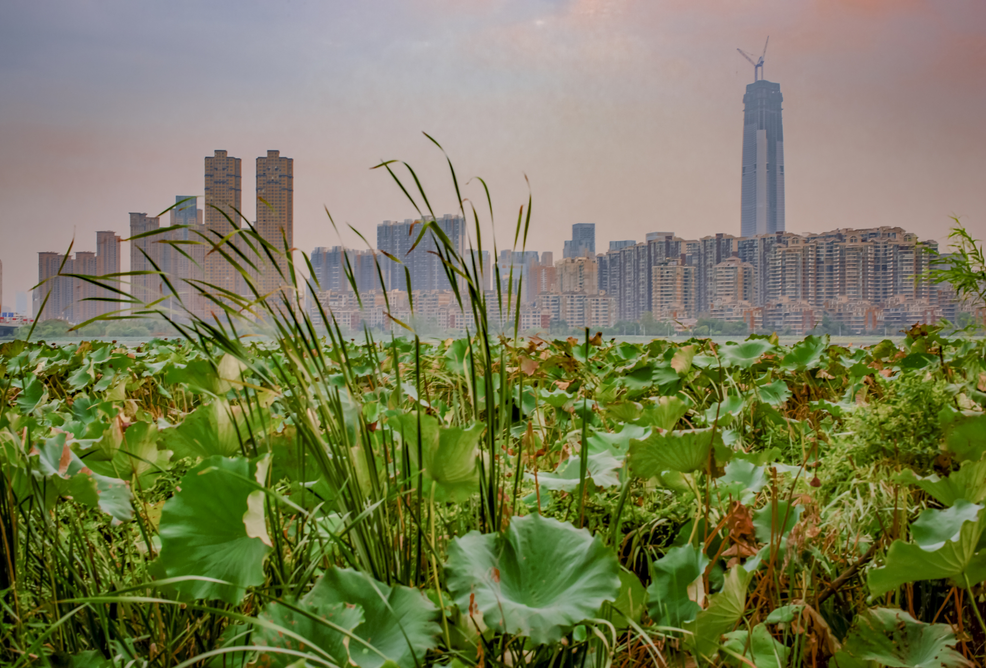 电影反哺摄影——老北京拍湖北大学（二）