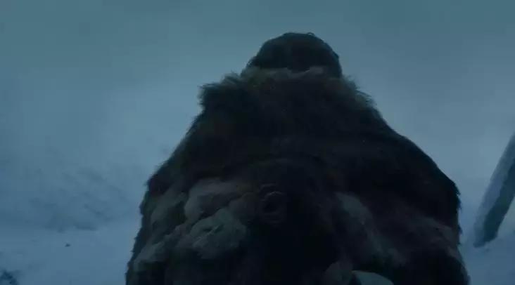 全世界都在等它开播