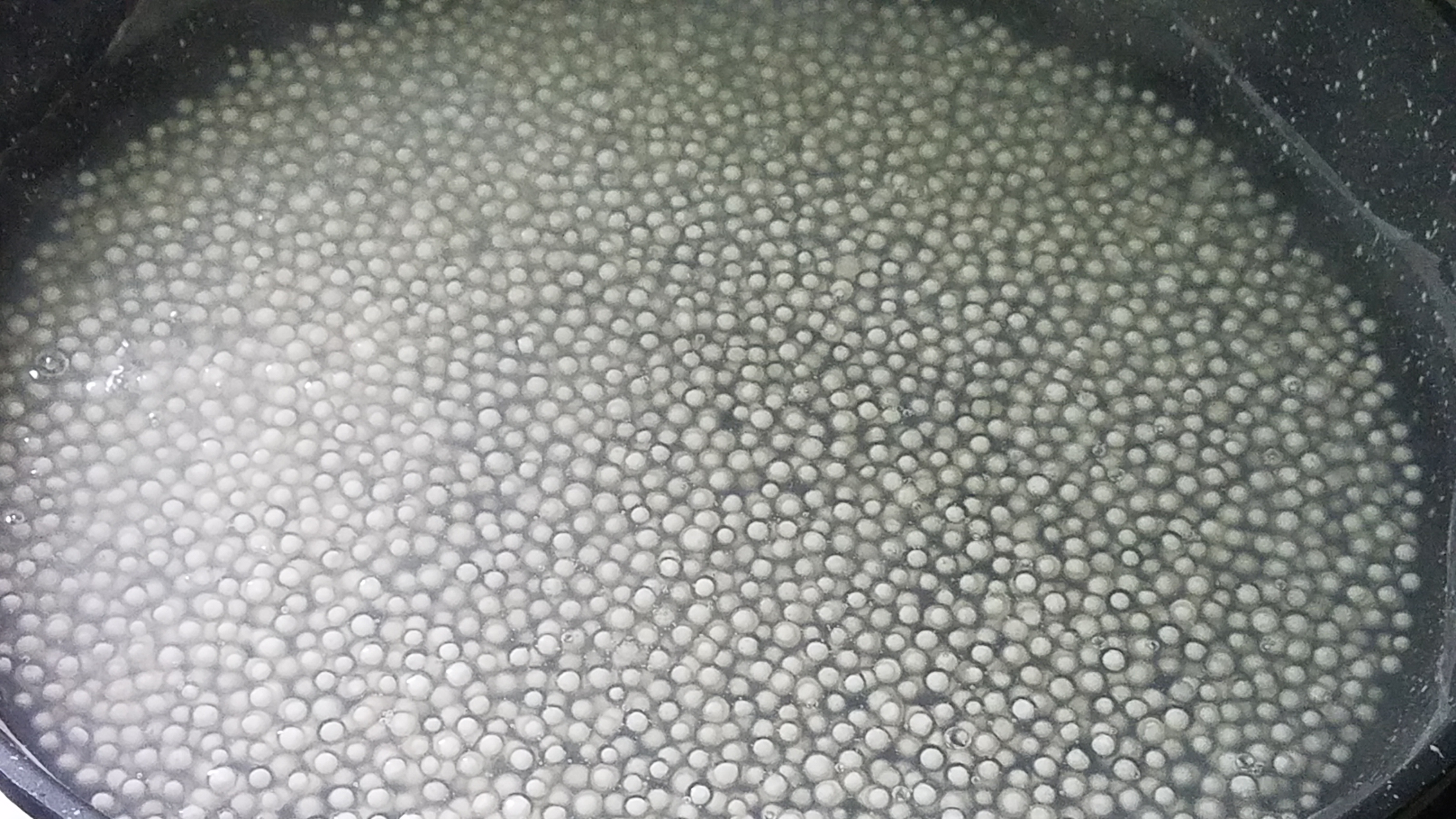 自制冰镇芒果西米露夏日清爽必备,木瓜西米露牛奶冷饮的做法