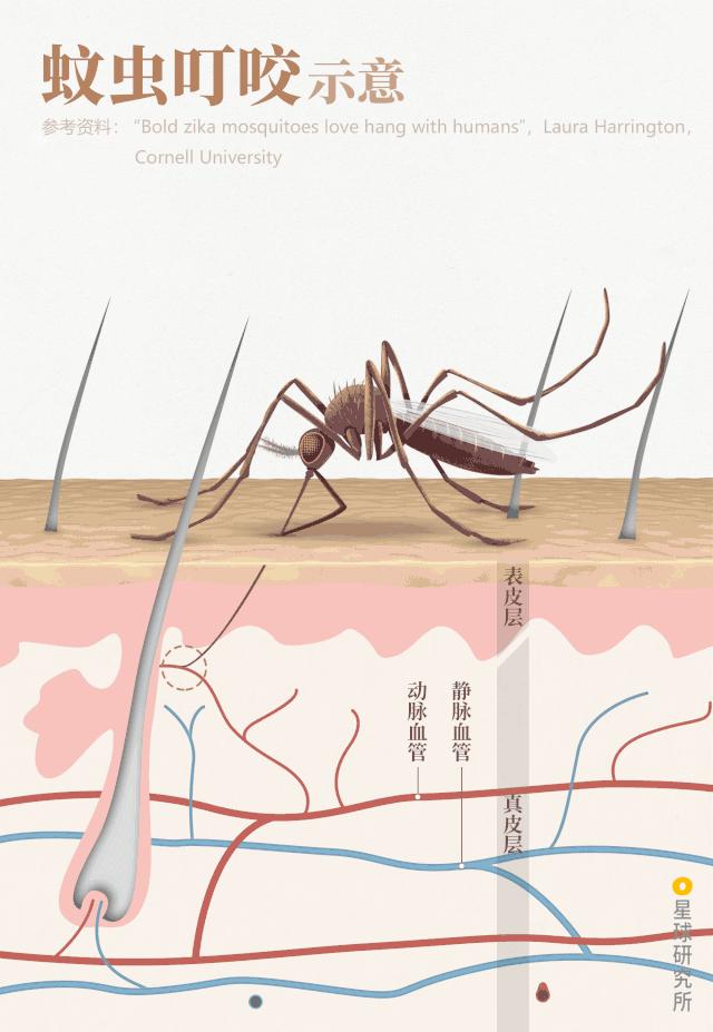 人体防卫战,人体痛点攻击技巧