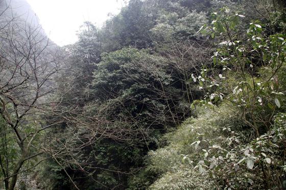 神龙峡：幽谷深深隐桃源